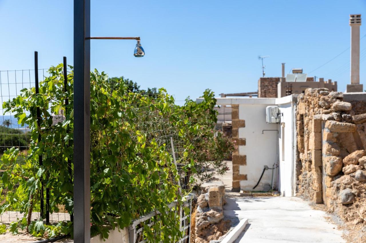 Thea Studio Agios Pandeleimon (Crete) Exterior foto